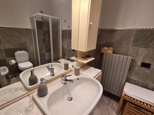 a bathroom with a sink and a toilet and a mirror at Le Palme Apartment in Gargallo