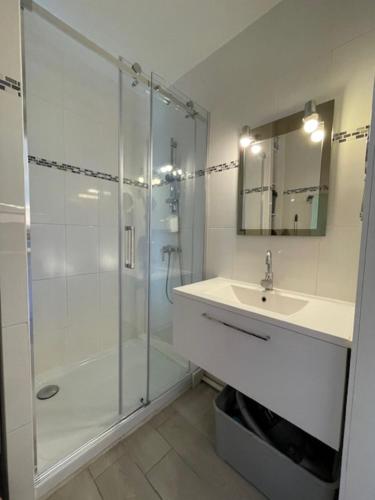 une salle de bain avec un lavabo et une douche en verre dans l'établissement STUDIO 2-3 pers PARKING CLIM VUE PORT ET MER, à La Grande Motte