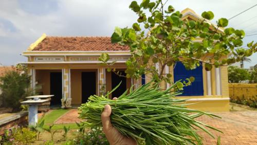 a person holding a bunch of green onions in front of a house at Ecohost Đông Hòa in Phú Hiệp