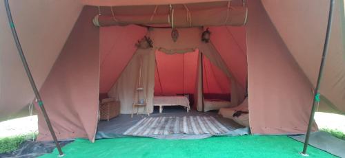 Fotografie z fotogalerie ubytování Yuccasa - Small Glamping Camping & Studio's v destinaci Pombal