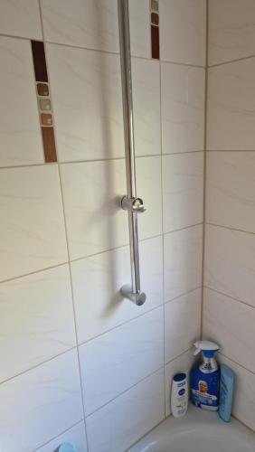 a shower stall in a bathroom with a sink at Rooms & Apartments Schwäbisch Gmünd in Schwäbisch Gmünd