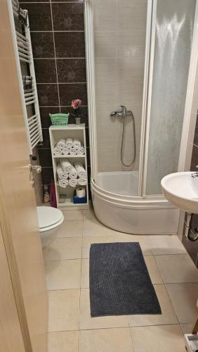 ein Bad mit einer Dusche, einem WC und einem Waschbecken in der Unterkunft Apartman Zoe in Zagreb