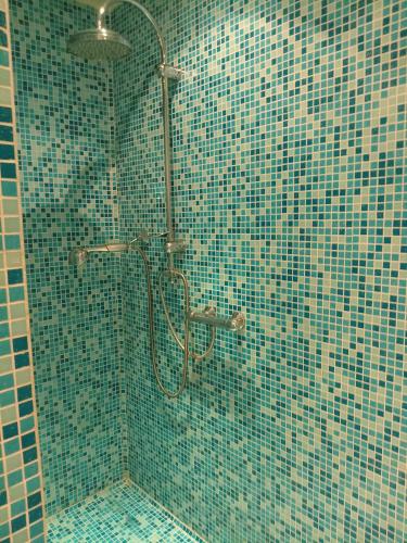 une salle de bain avec douche aux carreaux bleus dans l'établissement Les Papillons, à Labeaume