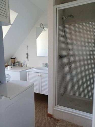 une salle de bain avec douche et lavabo dans l'établissement appartement T2 près de la plage, à Penmarcʼh