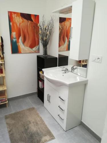 une salle de bain avec un lavabo et un miroir dans l'établissement Maison de village - triangle NIMES - UZES - ALES, à Moussac