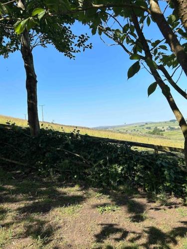 a grassy field with trees and a blue sky at Springhill Studio, Brimham Rocks Yorkshire Dales in Grantley
