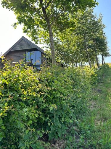 a small cabin on a hill with trees and bushes at Springhill Studio, Brimham Rocks Yorkshire Dales in Grantley