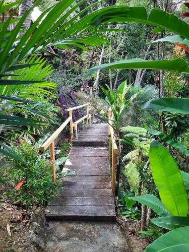 a wooden path in a garden with plants at Dolidi Ndano Towale Resort in Peura