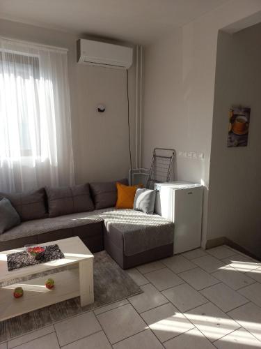 Зона вітальні в Studio apartman Beus
