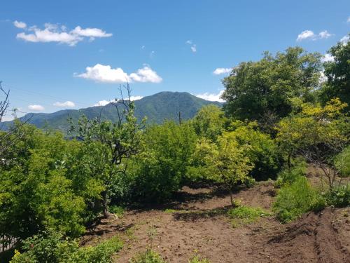 a view from the top of a hill with trees and mountains at IDEA Guest House / ИДЕА гостевой дом in Alaverdi