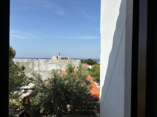 a view from a window of a building with a tree at Ada Olympos Otel in Bozcaada