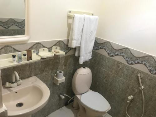 łazienka z toaletą i umywalką w obiekcie Mulberry Continental Hotel Skardu w mieście Skardu