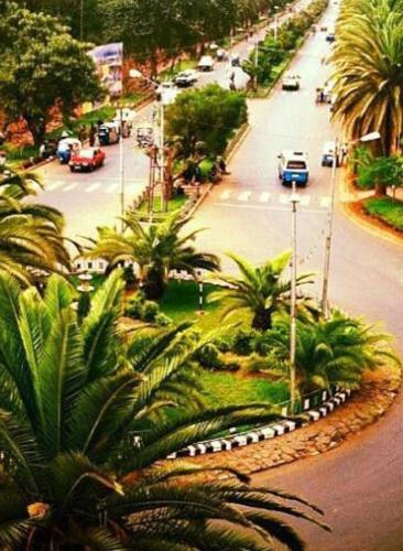 - une vue aérienne sur une rue bordée de palmiers et de voitures dans l'établissement Maki zu Hotel, à Baher Dar