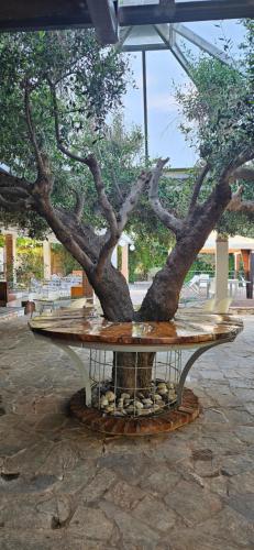 a table with a tree on top of it at Olympic Village Hotel & SPA in Olympia