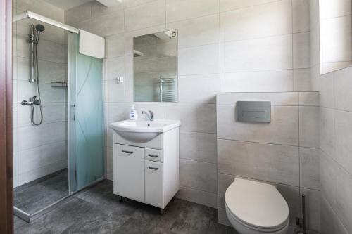 a bathroom with a toilet and a sink and a shower at NOCLEGI ŁĘTOW-SKI in Białka Tatrzanska