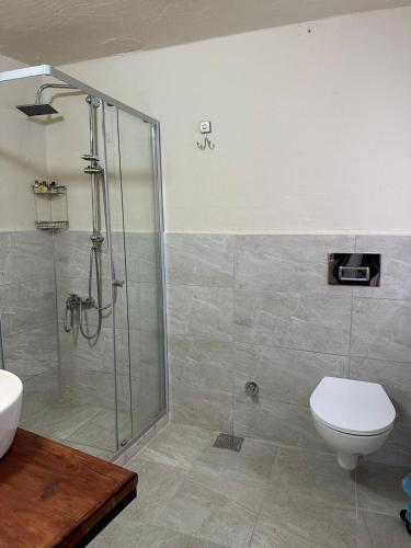 Mardin Merkezde Deluxe Room في ماردين: حمام مع دش ومرحاض