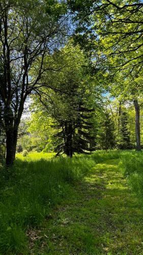 a path in a field with trees and grass at Grand gîte de caractère à la campagne in Fercé