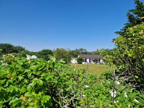 a house is seen through the trees in a field at Amalia in Nes