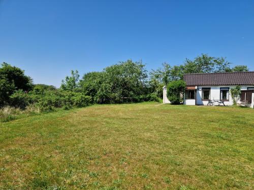 a large yard in front of a house at Amalia in Nes