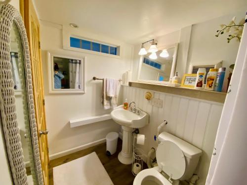 a small bathroom with a toilet and a sink at Clear Pond Suite in Plymouth