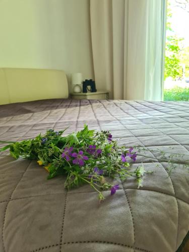 kupę fioletowych kwiatów na łóżku w obiekcie Żurawie gniazdo, elegancki zakątek w Puszczy Białowieskiej w Hajnówce