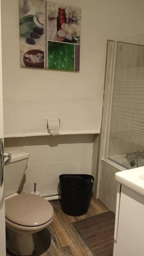 une salle de bain avec des toilettes blanches et un lavabo dans l'établissement Appartement de charme avec vue panoramique 4 pers, à Béziers