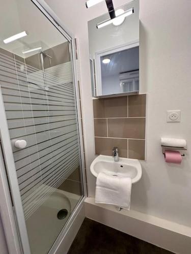 une salle de bain avec une douche en verre et un lavabo dans l'établissement Lakanal 1 - Studio Prébendes Tours, à Tours