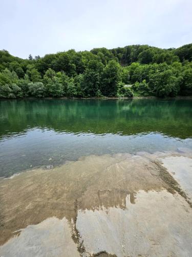 a large body of water with trees in the background at Drinski Maldivi 2 in Vrhpolje