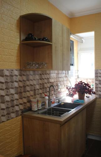 Kuchyň nebo kuchyňský kout v ubytování Guesthouse Levani