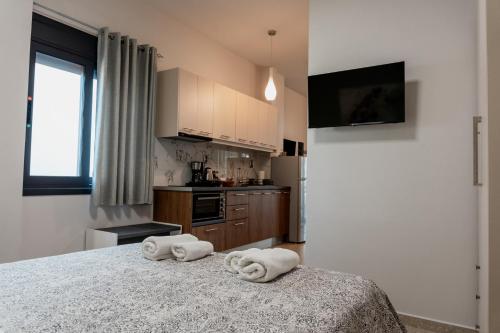 Η κουζίνα ή μικρή κουζίνα στο Filion Apartments Nafplio