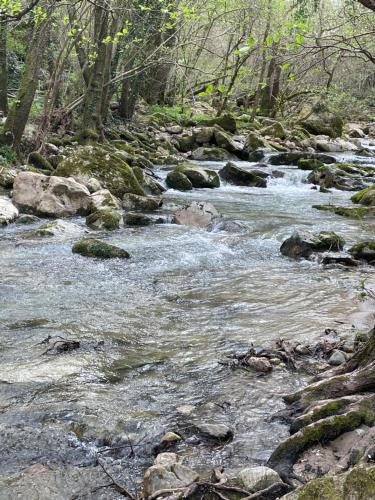 Naturlandskabet i nærheden af feriehuset