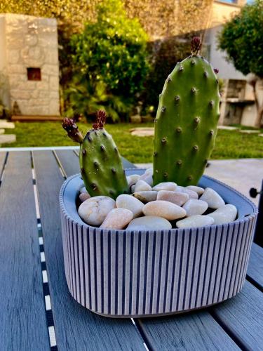 Κήπος έξω από το ON THE WAY - Mindelo Beach/Guest House
