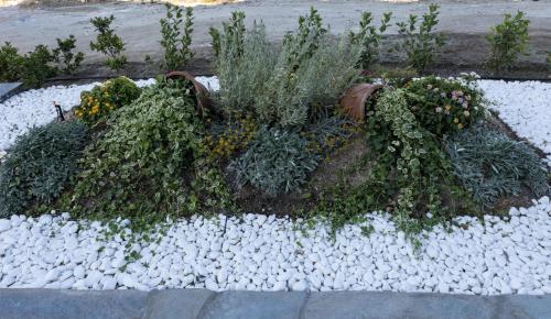 a garden with rocks and plants on a street at Aegeans Eye in Azolimnos