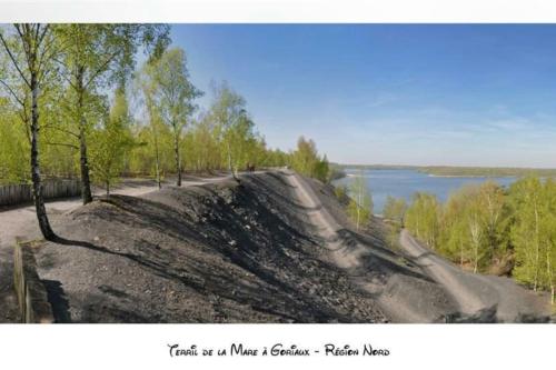 une peinture d'une colline en terre à côté d'un lac dans l'établissement Appartement de standing : 2 chambres, à Raismes