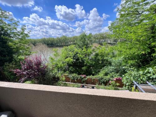 d'un balcon avec vue sur le jardin. dans l'établissement Appartement vu sur Seine, à Épinay-sur-Seine