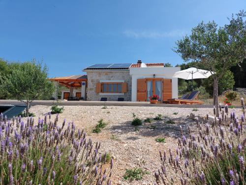 Olive Garden House Šibenik