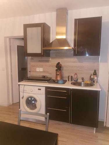une cuisine avec un évier et une machine à laver dans l'établissement Entre montagne et mer, à La Valette-du-Var