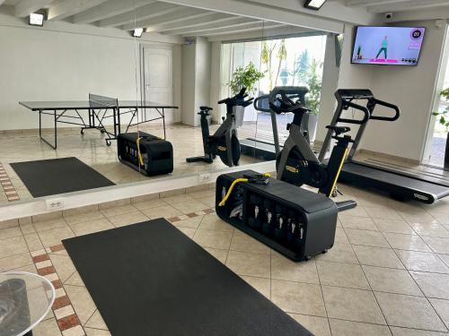 Fitness centrum a/nebo fitness zařízení v ubytování Attic Suite Palme