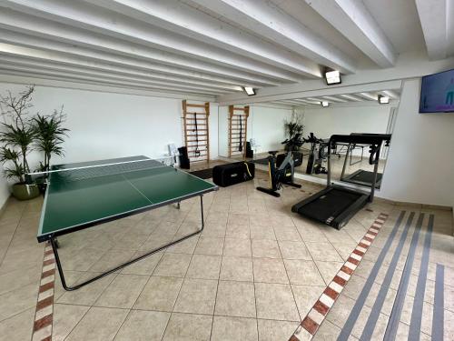 TV a/nebo společenská místnost v ubytování Attic Suite Palme