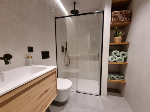 La salle de bains est pourvue d'une douche, d'un lavabo et de toilettes. dans l'établissement Antiquari de Blanes Apartamento rústico modernizado en la Costa Brava, à Blanes
