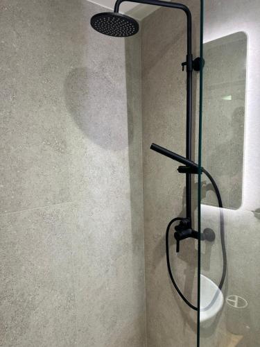 een douche met een glazen deur en een toilet bij Kiani Akti Suites 2 in Preveza