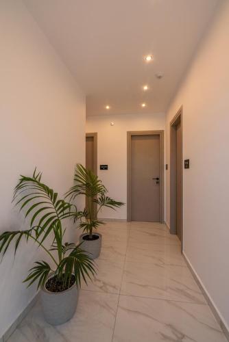 a hallway with two potted plants in a building at Xasteria in Elafonisi