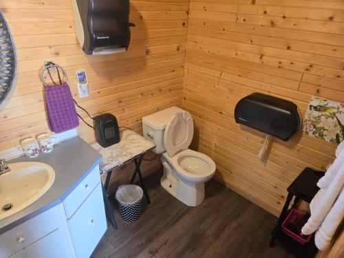 a bathroom with a toilet and a sink and a television at Blue River Cabins & Campgrounds in Blue River