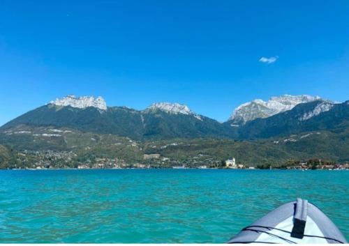 Appartement avec jardin privé à Duingt