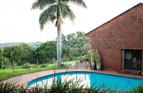 ein Haus mit einer Palme und einem Pool in der Unterkunft Secret Sithela in Port Edward
