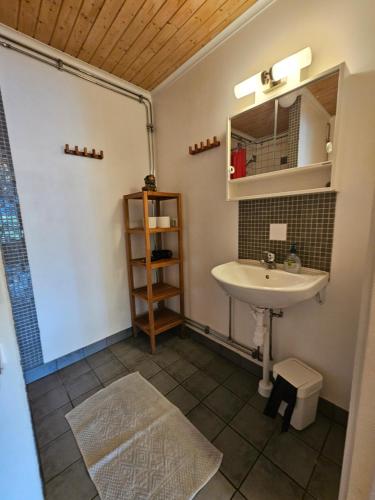 W łazience znajduje się umywalka i prysznic. w obiekcie Kilesandsgården w mieście Sydkoster