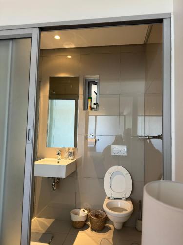 a bathroom with a toilet and a sink at Cosy one bedroom apartment in Windhoek