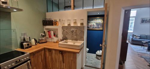 - une cuisine avec un comptoir et un évier dans l'établissement Grand appartement Cours Mirabeau, à Aix-en-Provence