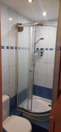 łazienka z prysznicem i toaletą w obiekcie Apartament Dana w Gdańsku