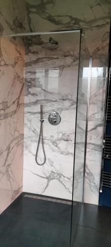 a marble bathroom with a shower with a glass door at Villa Giordana in Casalborgone